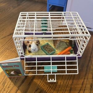 American Girl Courtney's Guinea Pig